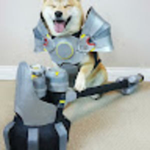 Meet your Posher, Victoria